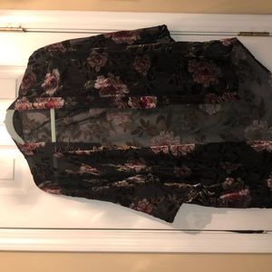 Sheer with velvet comodo